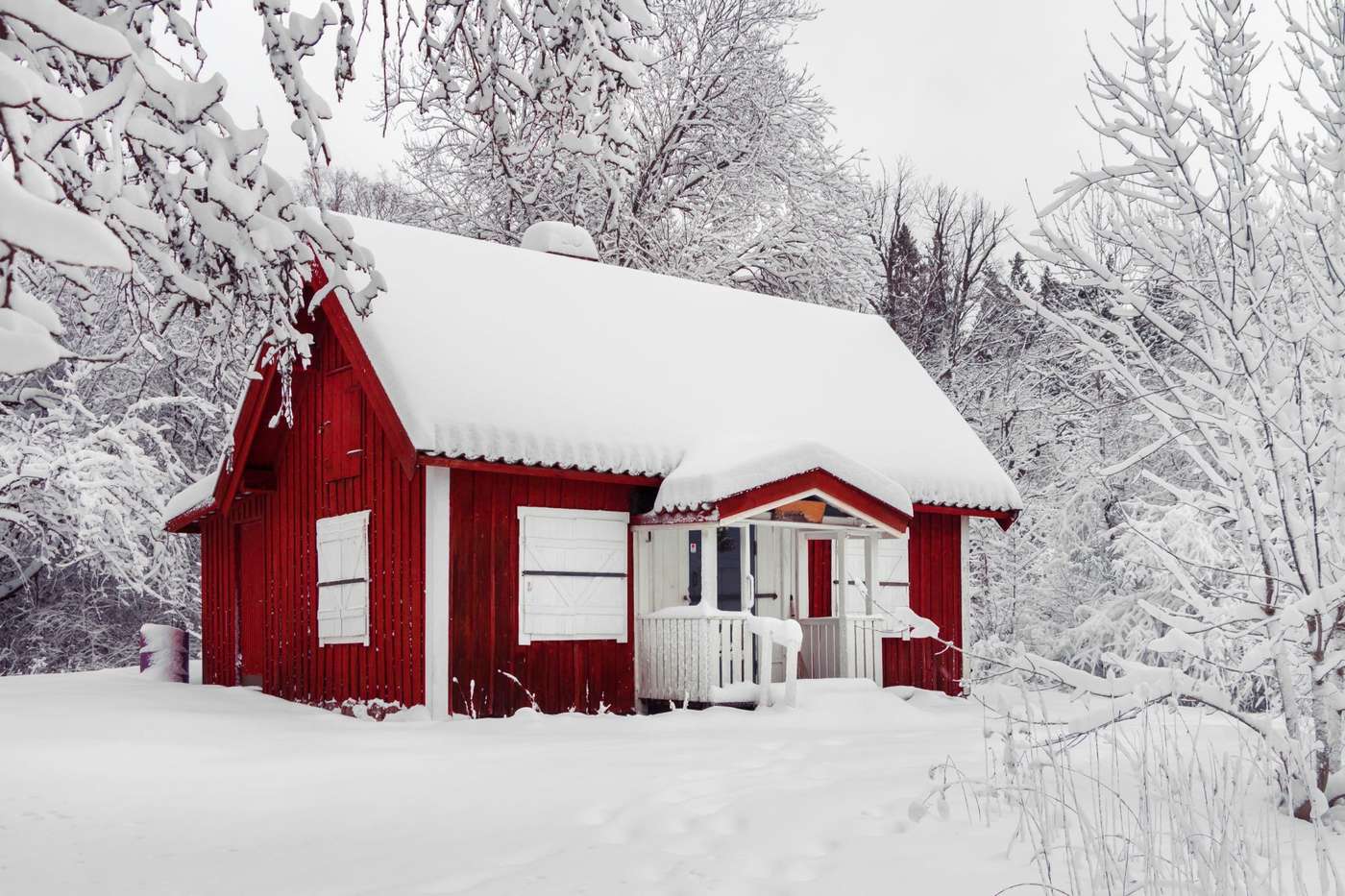 Röd stuga med stängda fönsterluckor, insnöad bland snötäckta träd